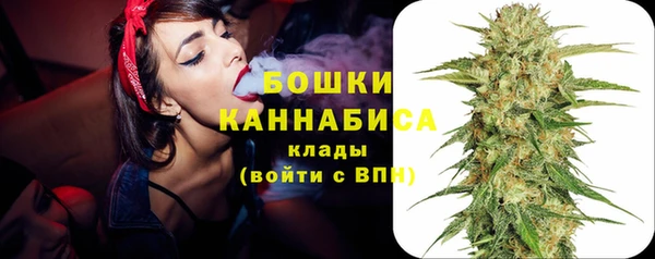 гашик Краснослободск