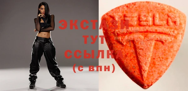гашик Краснослободск