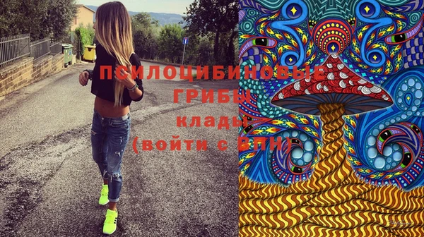 гашик Краснослободск