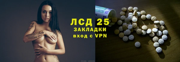 гашик Краснослободск