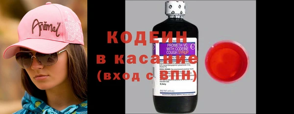 гашик Краснослободск