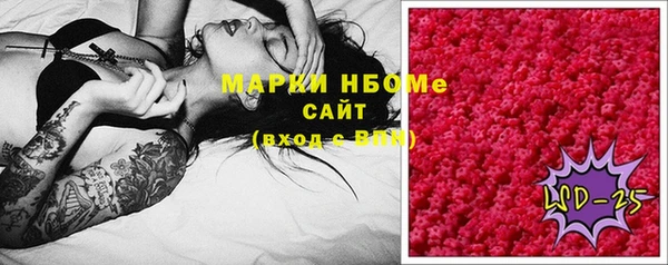 гашик Краснослободск