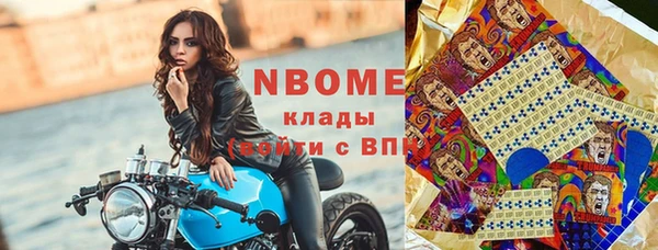 гашик Краснослободск