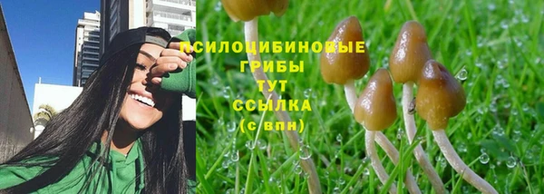 mdma Краснотурьинск